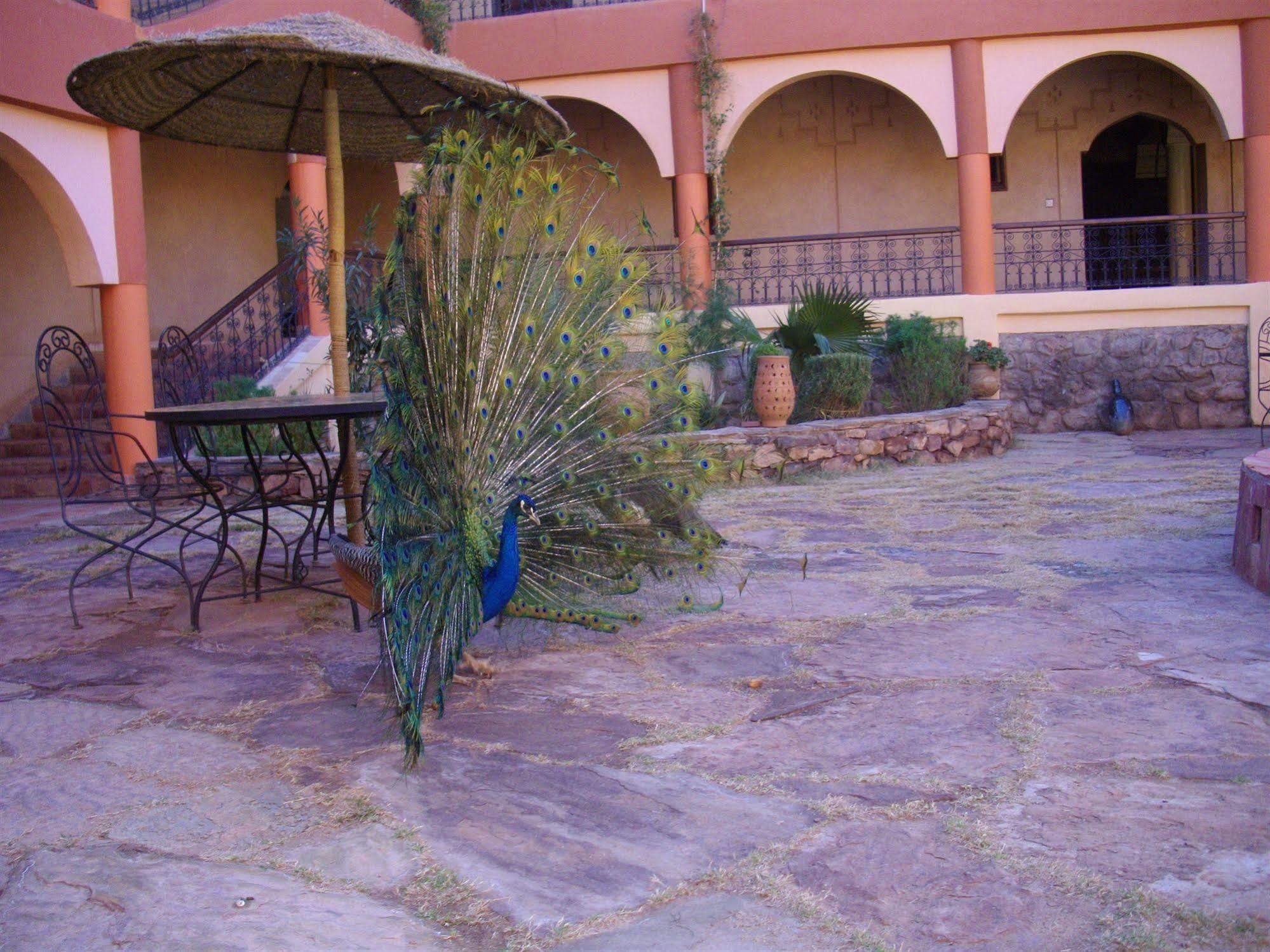 Kasbah Zitoune Tajda Buitenkant foto